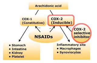 wpid-nsaids-2013-02-19-15-26.jpg