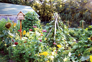 wpid-MEN-AM09-vertical_gardening-2013-07-7-03-01.jpg