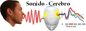 wpid-KOTO-SONID-CEREBR+H-2013-09-27-11-48.png