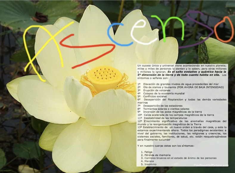 wpid-ascender_lotus_flower-16-2013-11-30-19-52.jpg