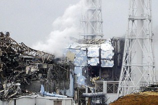 wpid-fukushima-315x210-2013-10-31-19-01.jpg